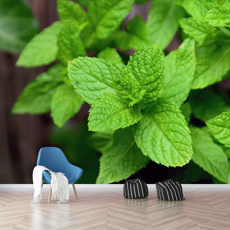 Contemporary Mint Mural Environment Friendly Wallpaper for Living Room