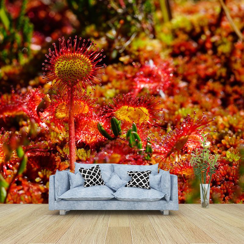 Contemporary Round Leaved Sundew Mural Environment Friendly Wallpaper for Bedroom