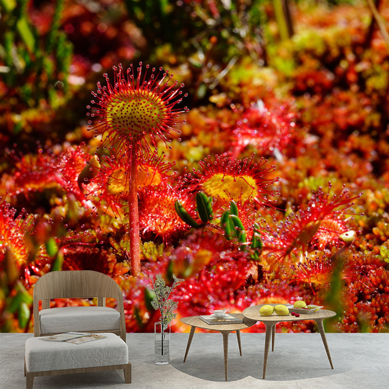 Contemporary Round Leaved Sundew Mural Environment Friendly Wallpaper for Bedroom