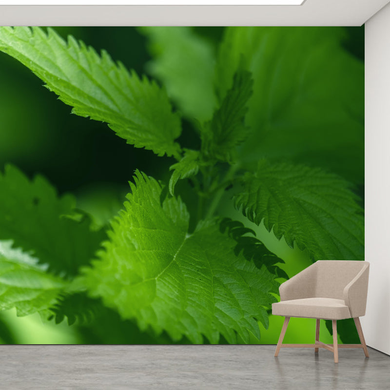 Customized Nettle Mural Light Color Wall Decor Mildew Resistant for Living Room