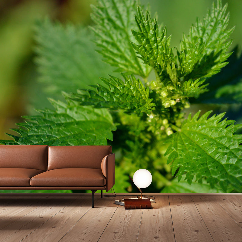 Décoration murale personnalisée en ortie, couleur claire, résistante à la moisissure pour le salon