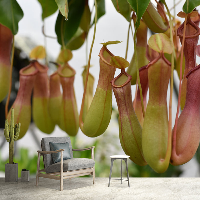 Contemporary Nepenthes Mural Environment Friendly Wallpaper for Living Room