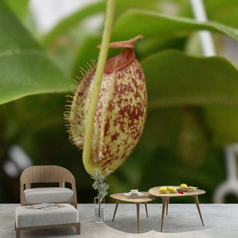Contemporary Nepenthes Mural Environment Friendly Wallpaper for Living Room