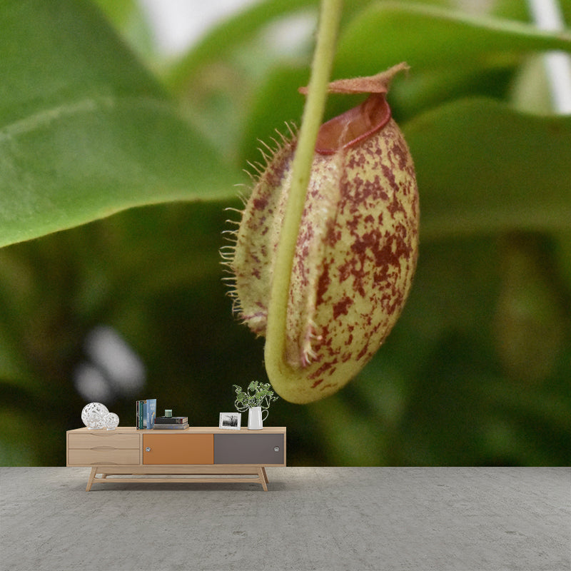 Contemporary Nepenthes Mural Environment Friendly Wallpaper for Living Room