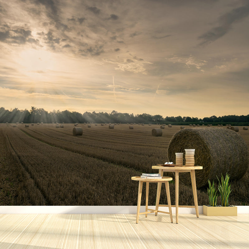 Customized Straw Bale Mural Decal Light Color Wall Decor Eco-friendly for Living Room