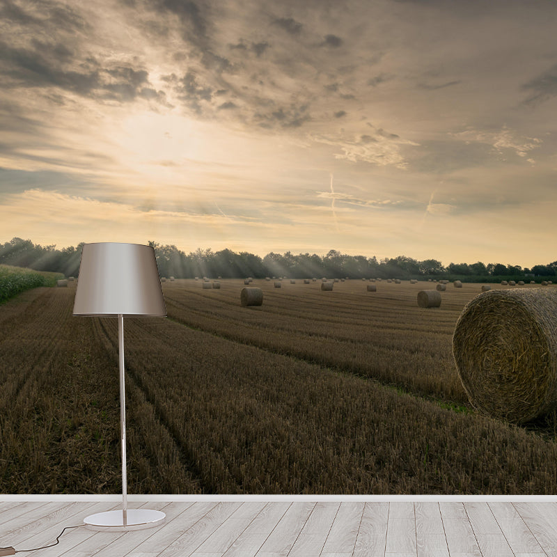 Customized Straw Bale Mural Decal Light Color Wall Decor Eco-friendly for Living Room