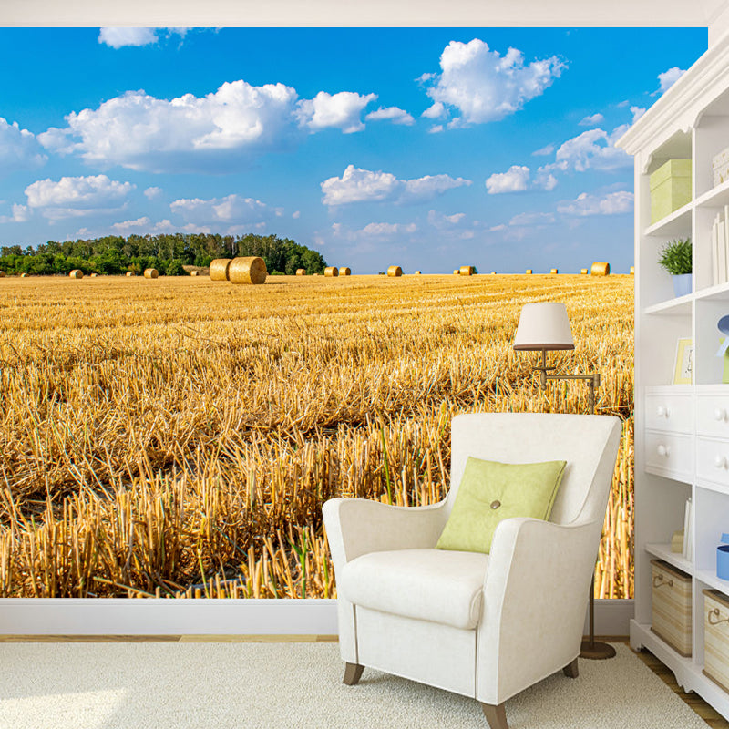 Customized Straw Bale Mural Decal Light Color Wall Decor Eco-friendly for Living Room