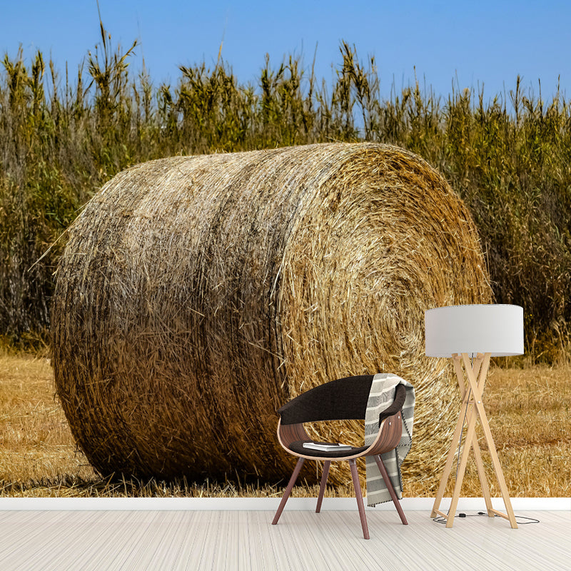 Light Color Straw Bale Mural Decal Wall Covering Mildew Resistant for Dining Room