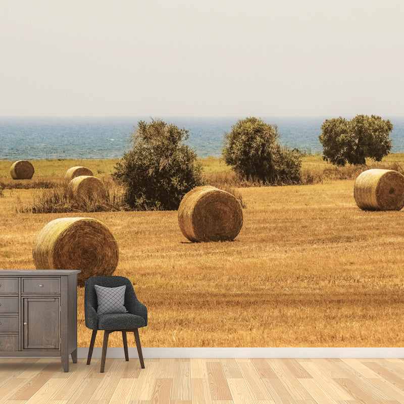 Light Color Straw Bale Mural Decal Wall Covering Mildew Resistant for Dining Room