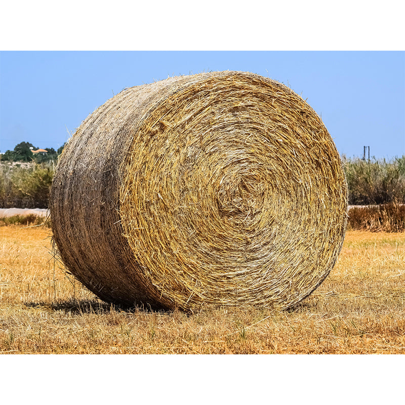 Light Color Straw Bale Mural Decal Wall Covering Mildew Resistant for Dining Room