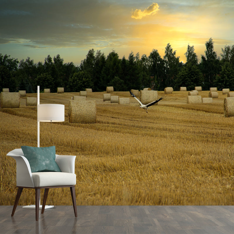 Photography Straw Bale Mural Wall Decor Mildew Resistant for Bedroom