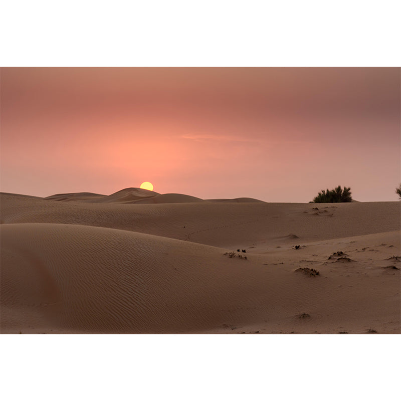 Customized Big Desert Mural Decorative Mildew Resistant for Dining Room