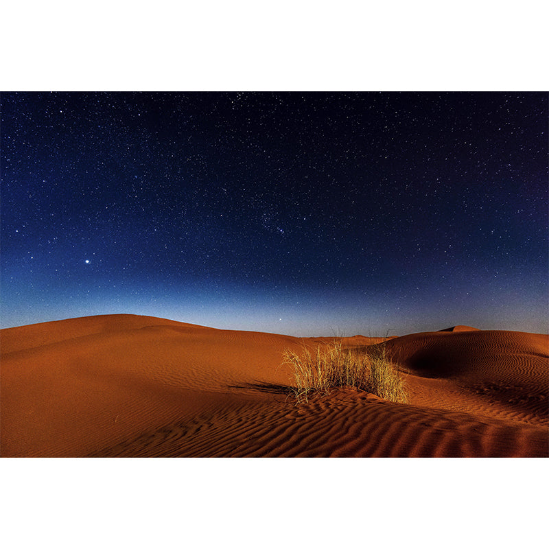 Eco-friendly Desert Mural Decorative Mildew Resistant for Sitting Room Bedroom