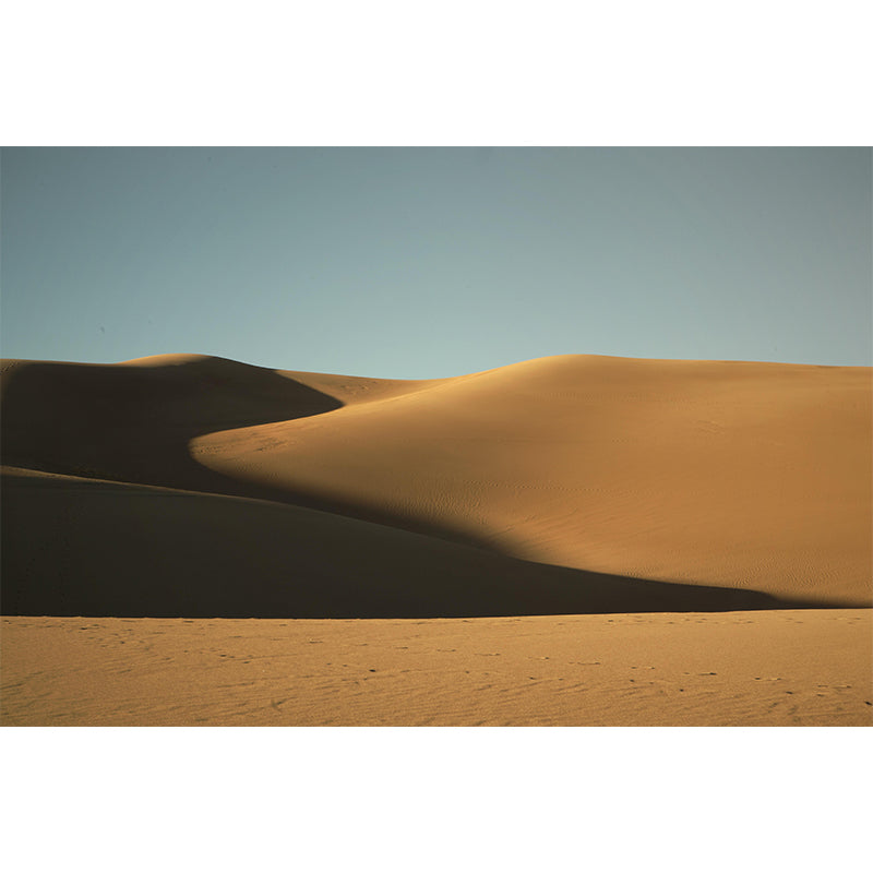 Customized Desert Mural Decorative Mildew Resistant Environmental for Bedroom