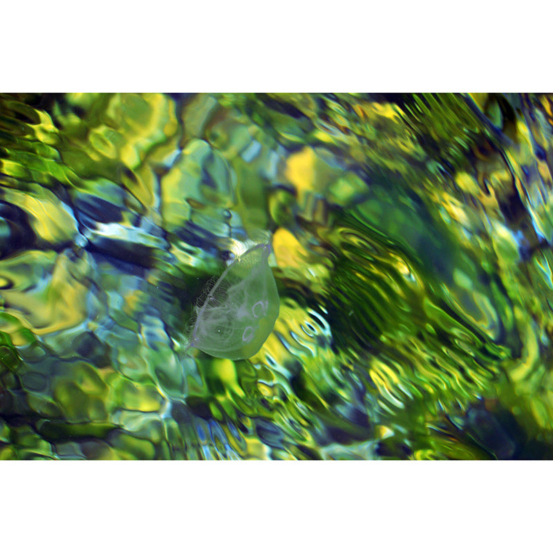 Ocean View Wall Decals Home Art Decor for Kids Bedroom, Made to Measure