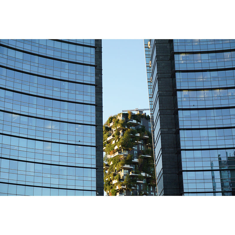 City Building Photo Wall Mural Wallpaper for Bedroom Living Room, Water Resistant