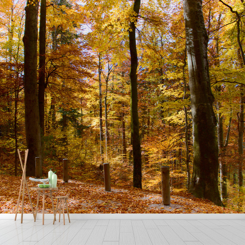 Forest Tree Wall Art Decor for Sitting Room Moisture Resistant Mural, Made to Measure