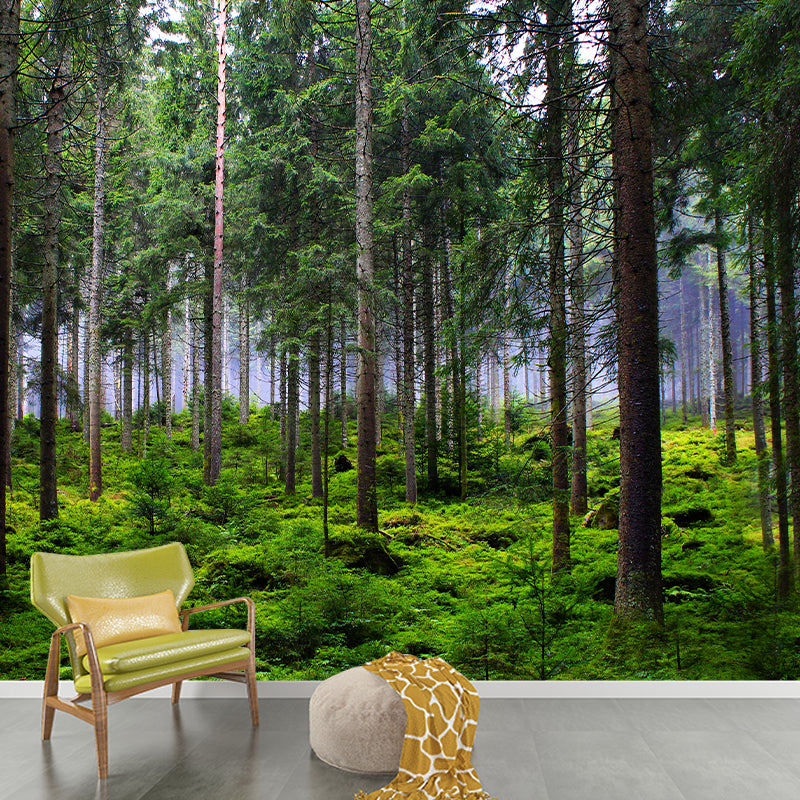 Green Forest Scenery Wallpaper Mural for Sitting Room, Made to Measure
