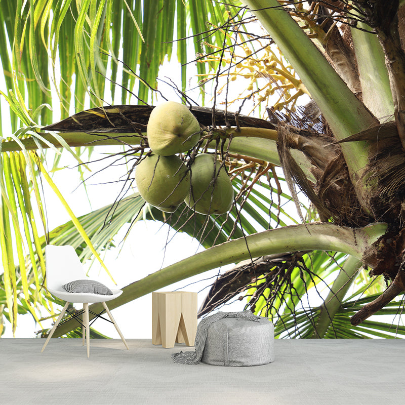 Tropical Coconut Tree Wall Mural Decal Photography Water Resistant for Kitchen
