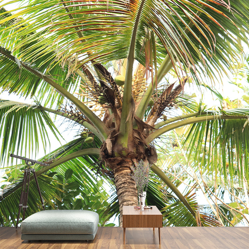 Tropical Coconut Tree Wall Mural Decal Photography Water Resistant for Kitchen