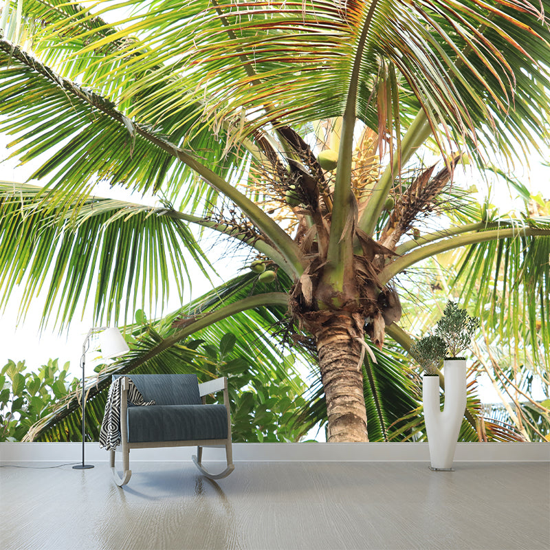 Tropical Coconut Tree Wall Mural Decal Photography Water Resistant for Kitchen