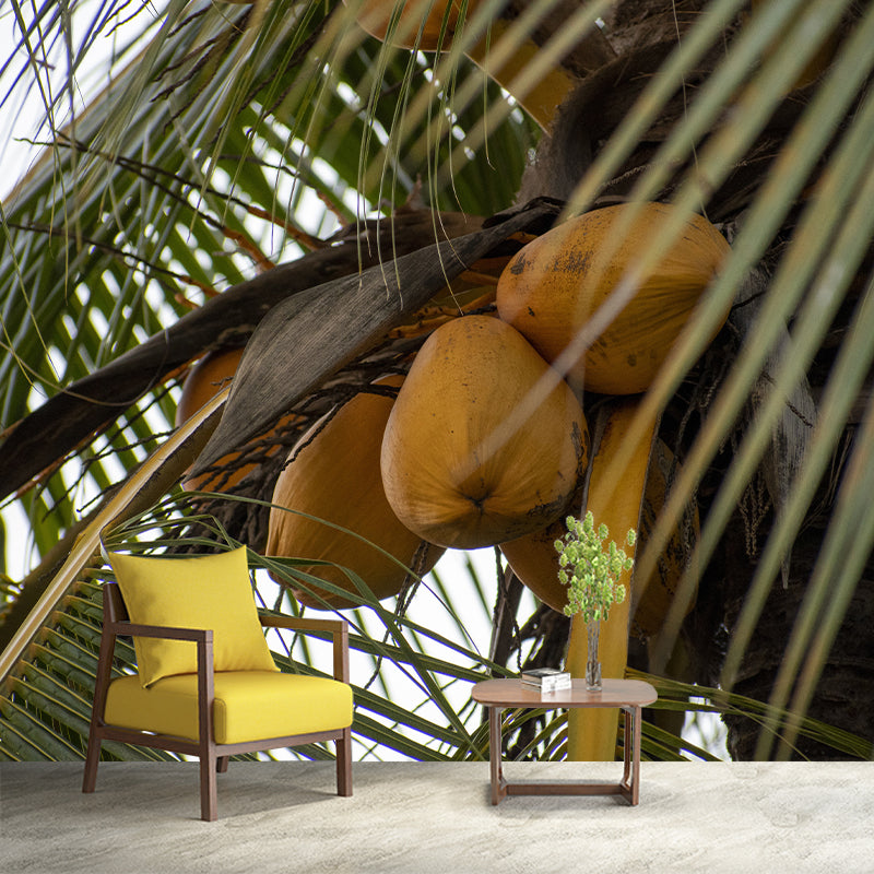 Tropical Coconut Tree Wall Mural Decal Photography Water Resistant for Kitchen