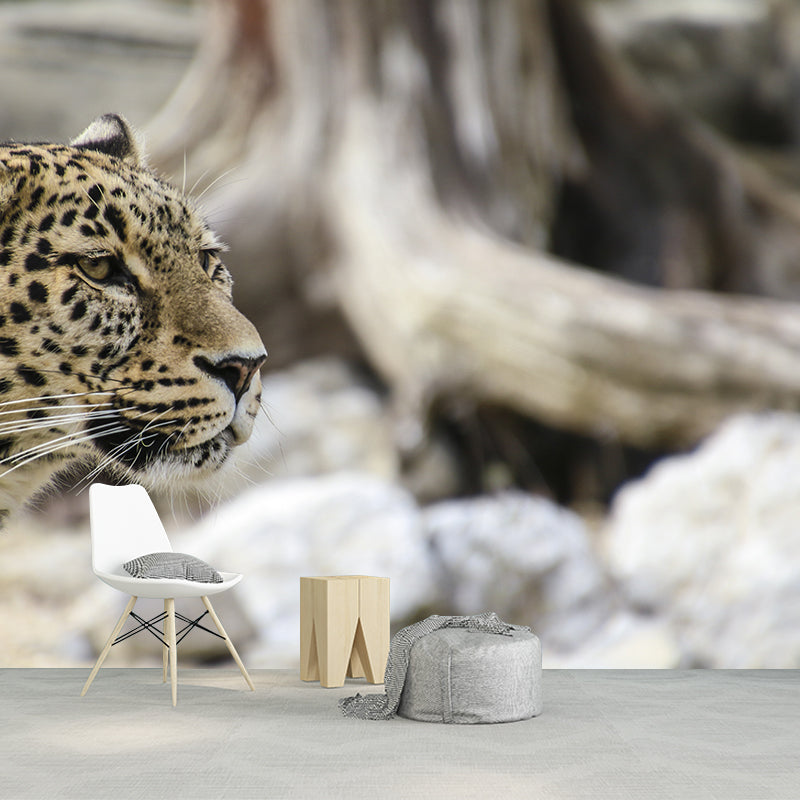 Wild Animal Leopard Mildew Resistant Wall Art Decor for Sitting Room, Made to Measure