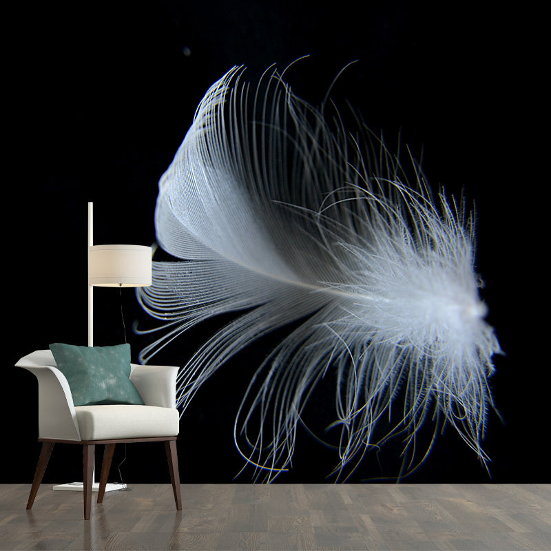 Peculiar Feathers Wall Paper Murals Moisture Resistant Living Room Wall Decor