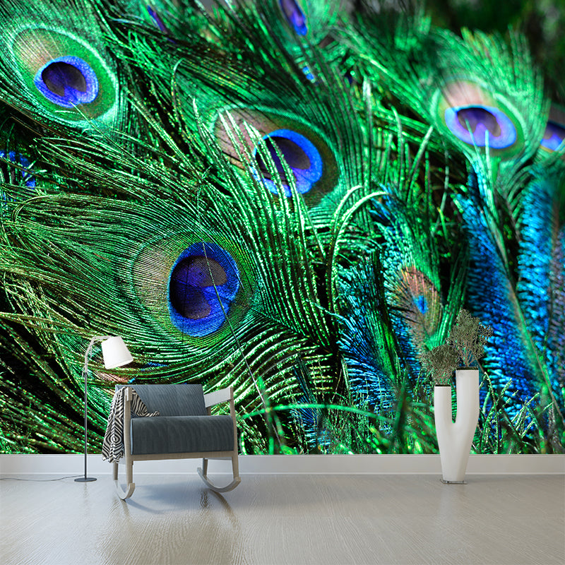 Vivid Feathers Wall Paper Murals Mildew Resistant Living Room Wall Decor