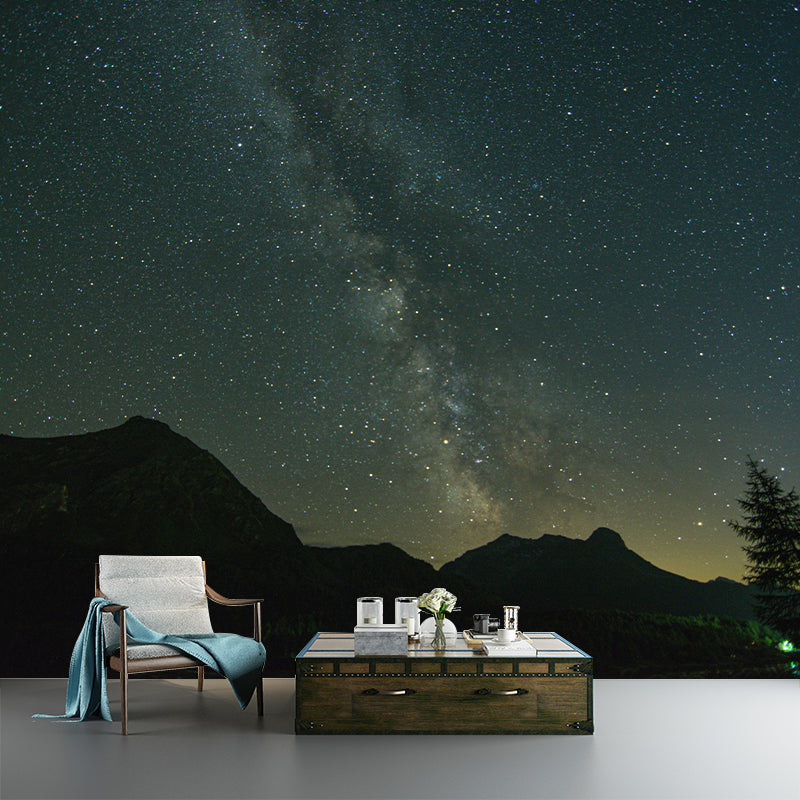 Cosmic Night Mural Water Resistant Decorative Wall Decor for Sleeping Room