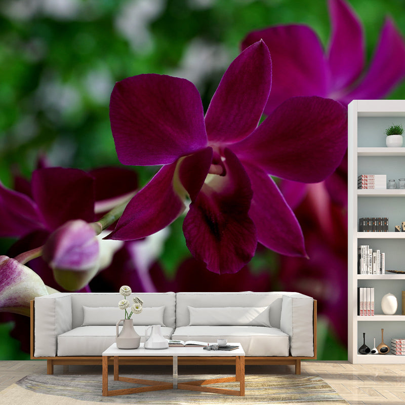 Cymbidium Murals for Sleeping Room Personalized Wall Decor, Moisture Resistant