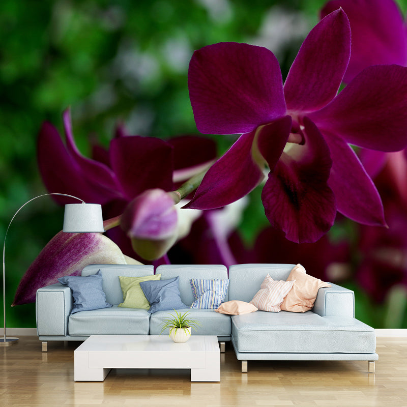 Cymbidium Murals for Sleeping Room Personalized Wall Decor, Moisture Resistant