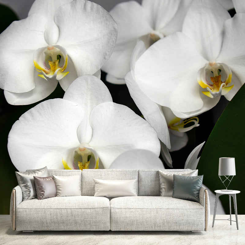 Beautiful Orchid Wall Mural Moisture Resistant Wall Decor for Sleeping Room