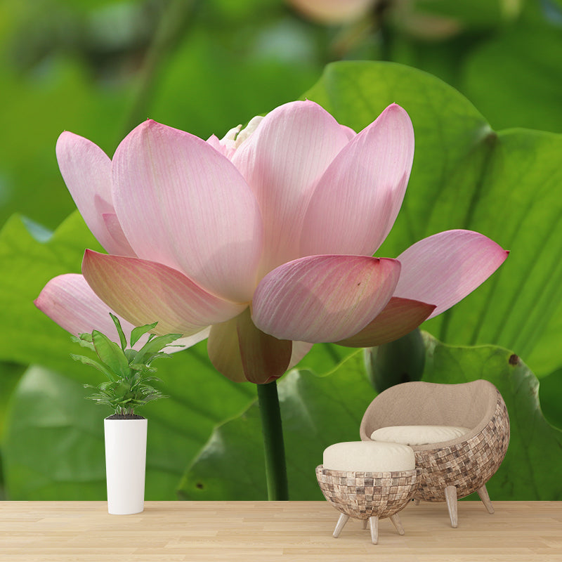 Lotus Flower Wall Mural Moisture Resistant Wall Decor for Sleeping Room