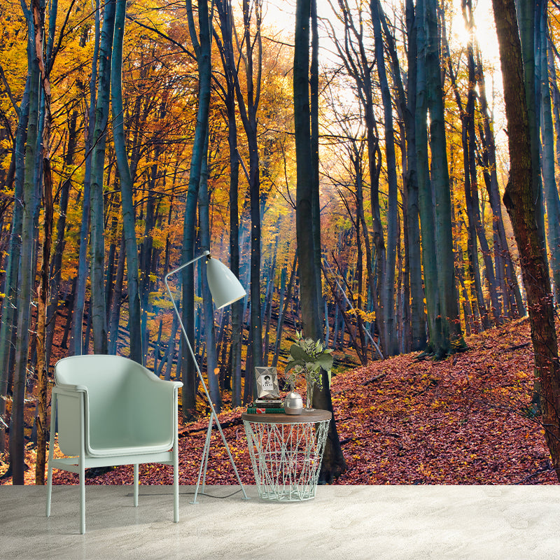 Forest View Mural Decal Water Resistant Decor for Sleeping Room, Personalized Size Available