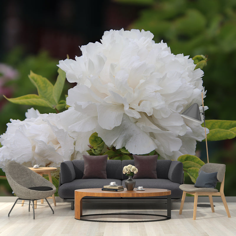 Peony Murals Contemporary Washable Girls' Bedroom Wall Decor, Personalized Size Available