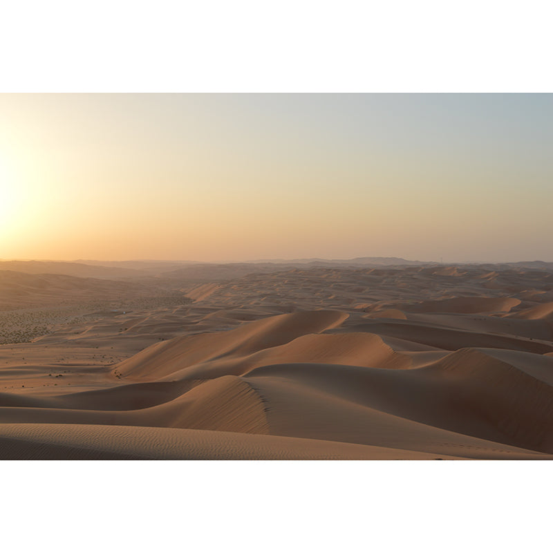 Desolate Desert Mural Wallpaper for Sitting Room Decor, Moisture Resistant