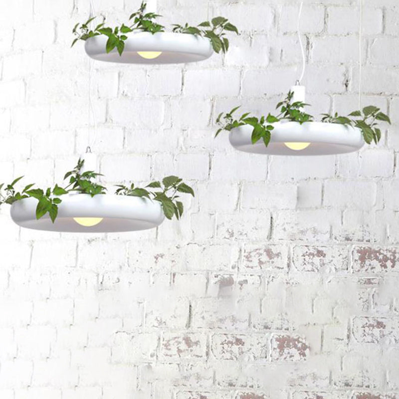Single-Light Metal Frame Plant Pendant Light for Dinning Room Bedroom Hanging Lamp (Without Plants)