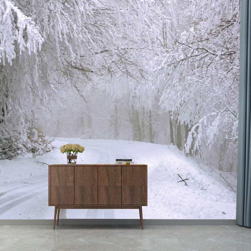 Modern Forest Wall Mural Decor Horizontal Photography Style for Decoration