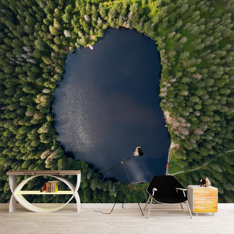 Huge Forest Landscapes Mural Horizontal Photography Wall Covering for Bedroom