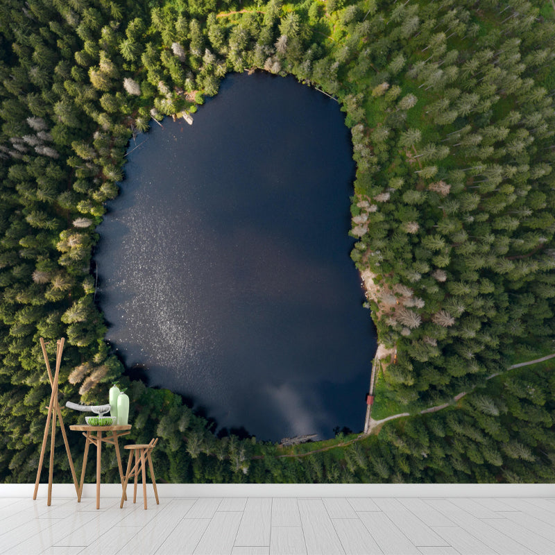 Huge Forest Landscapes Mural Horizontal Photography Wall Covering for Bedroom