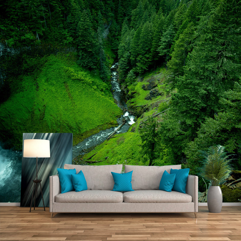 Huge Forest Landscapes Mural Photography Wall Covering for Dining Room