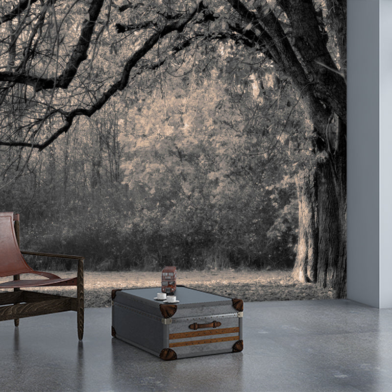 Huge Forest Landscapes Mural Photography Wall Covering for Dining Room