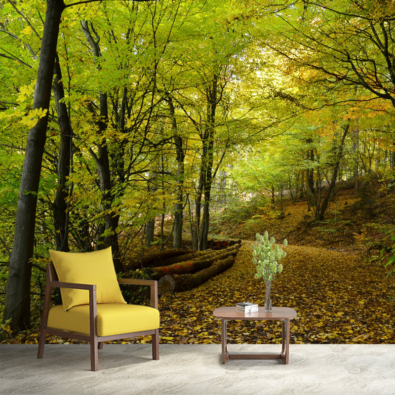 Huge Forest Landscapes Mural Horizontal Photography Wall Covering for Living Room