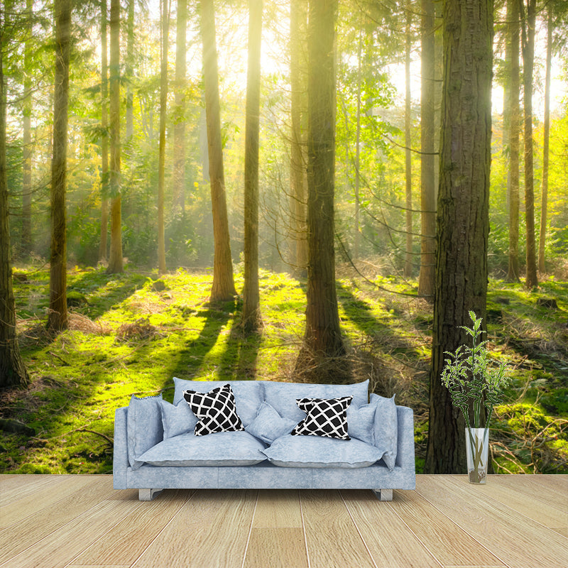 Huge Forest Landscapes Mural Horizontal Photography Wall Covering for Living Room