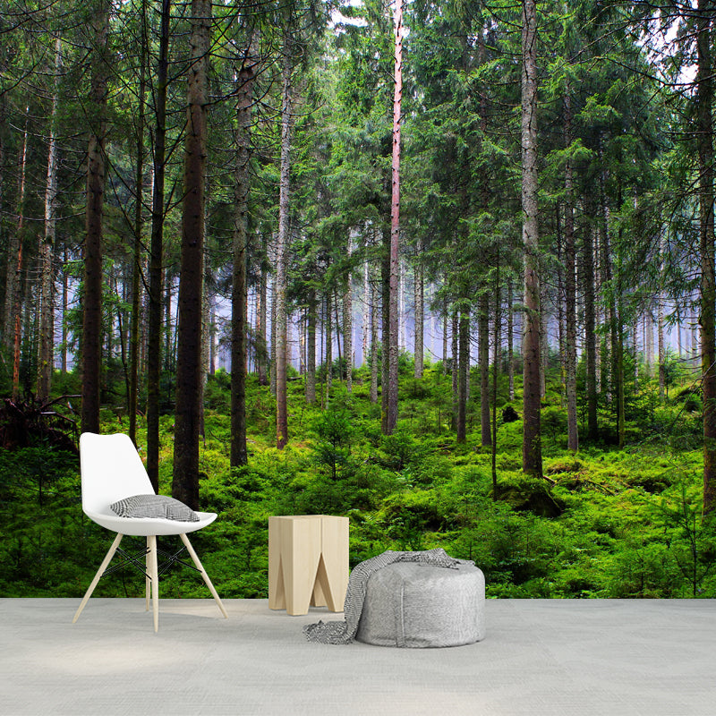 Huge Forest Landscapes Mural Horizontal Photography Wall Covering for Living Room