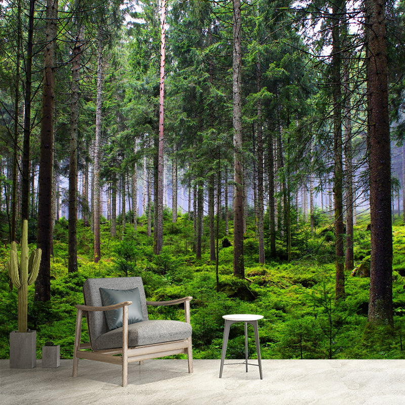 Huge Forest Landscapes Mural Horizontal Photography Wall Covering for Living Room