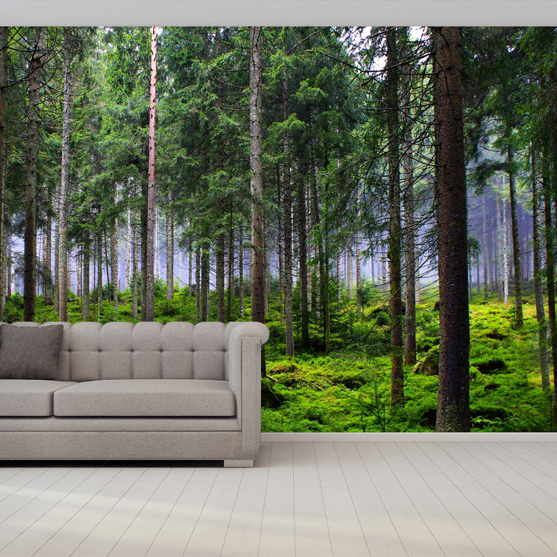 Huge Forest Landscapes Mural Horizontal Photography Wall Covering for Living Room