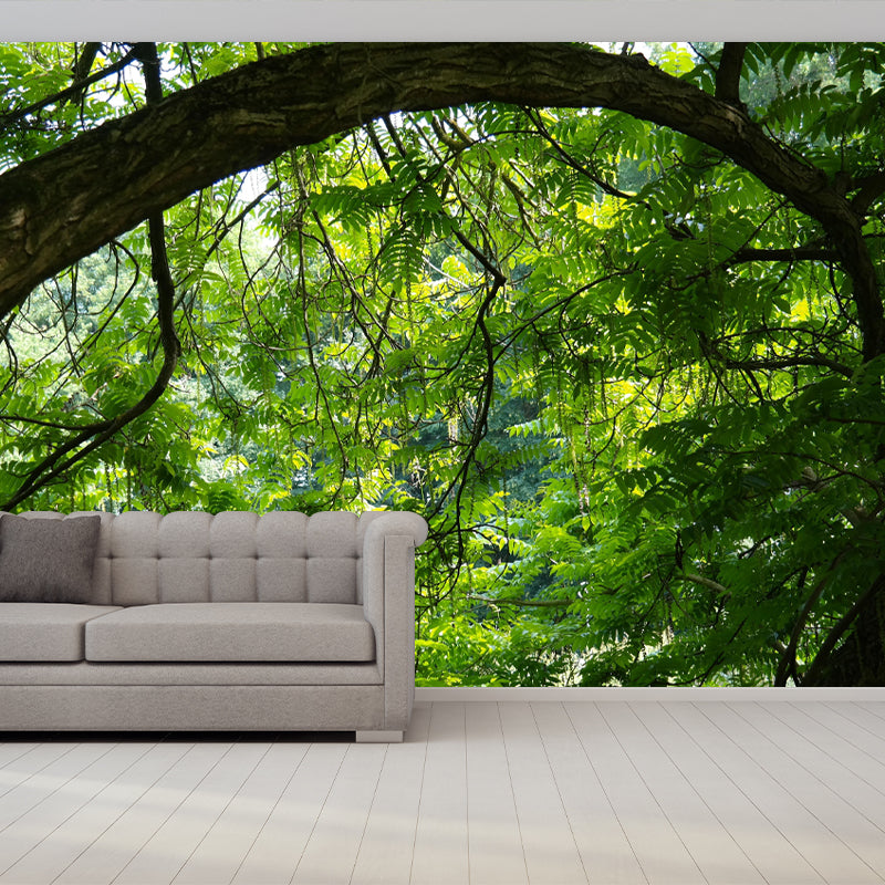 Contemporary Forest Wall Mural Decor Horizontal Photography Eco-friendly for Decoration
