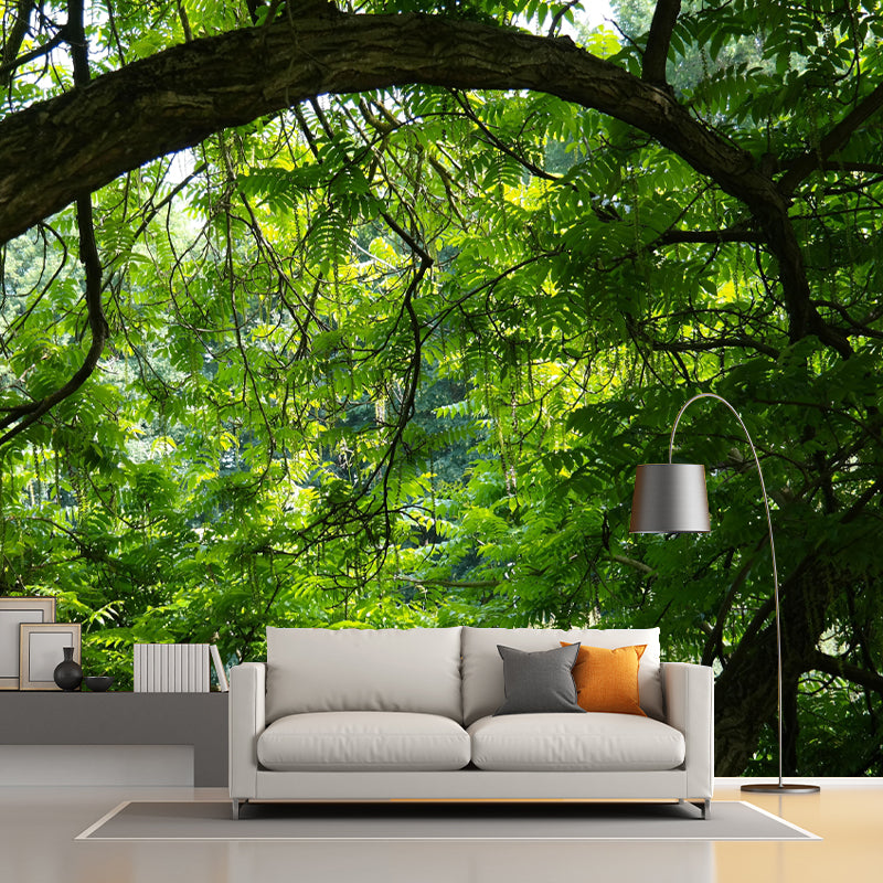 Contemporary Forest Wall Mural Decor Horizontal Photography Eco-friendly for Decoration
